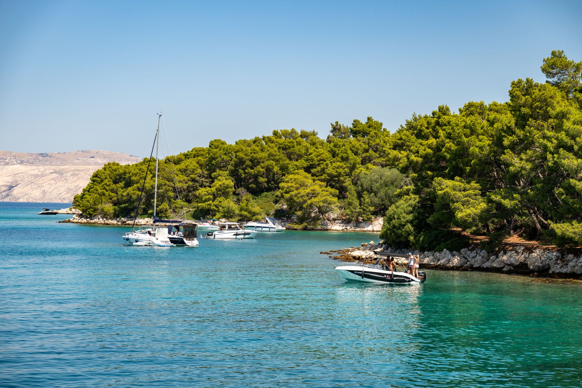 Beautiful view of boats on the Croatian coast, surrounded by lush pine forests and clear blue waters.