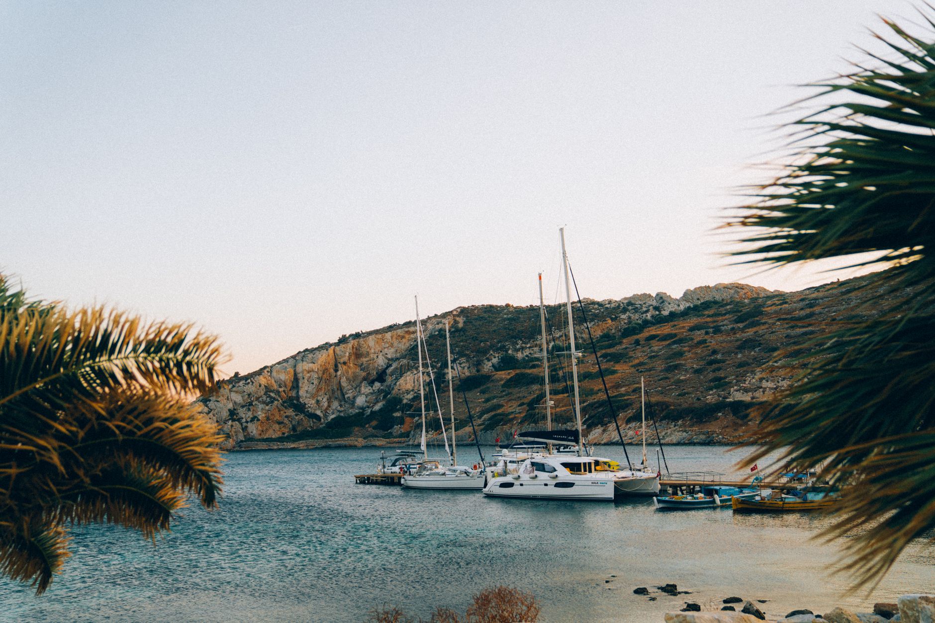 Tranquil bay with moored yachts framed by palm trees and rocky hills at sunset.